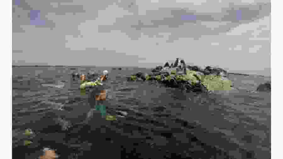 Swim in the Pacific Ocean