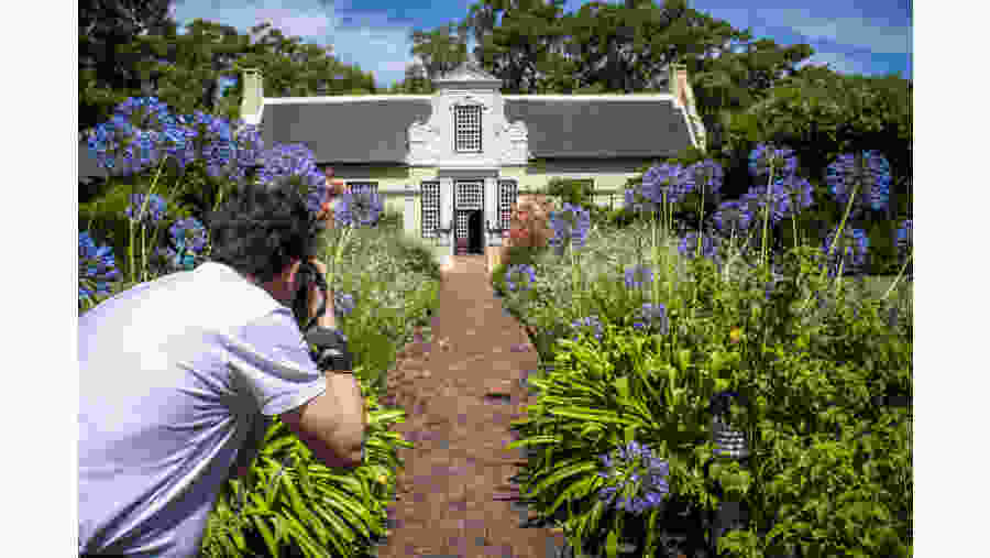 Vergelegen Wine Estate In South Africa