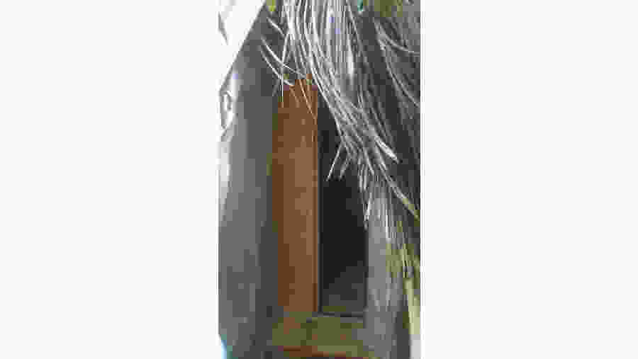 Experience Other Wordly Vestra