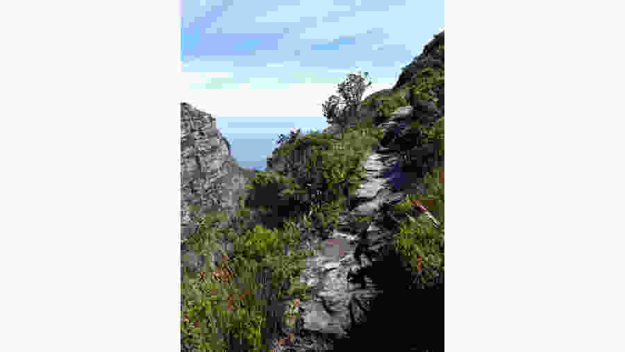 Trek to the Table Mountain