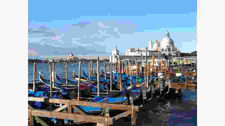 The Bacin of Saint Mark