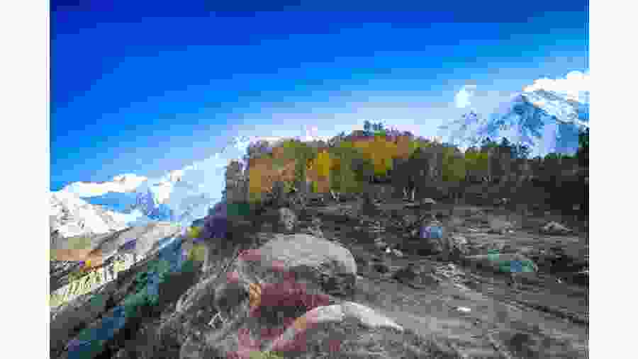 Fairy Meadows
