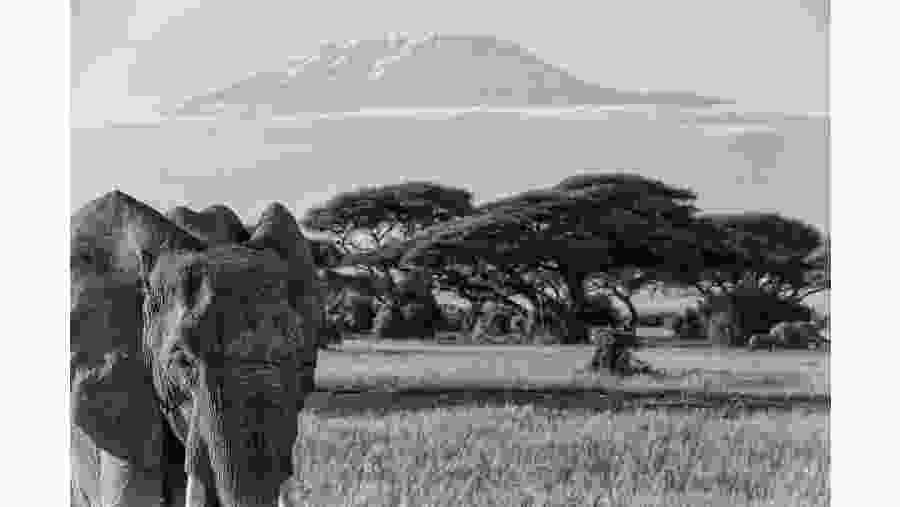 View of Mount Kilimanjaro in Ambseli