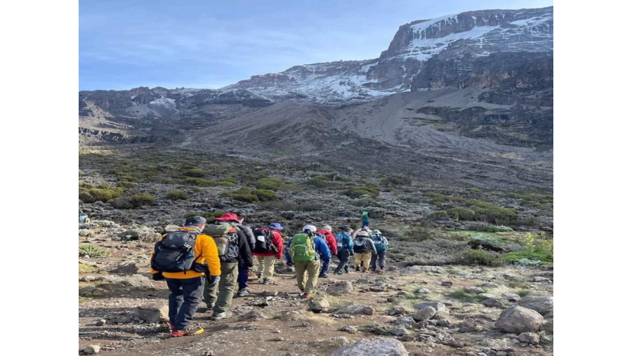 Trekking Experience