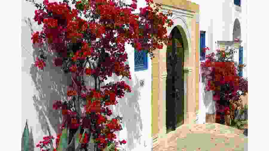 Sidi Bou Said