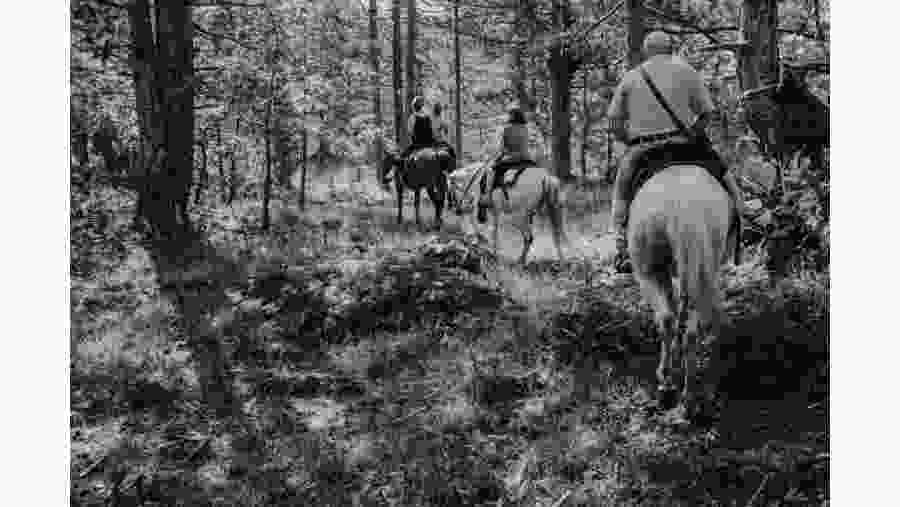Horse riding in Albania
