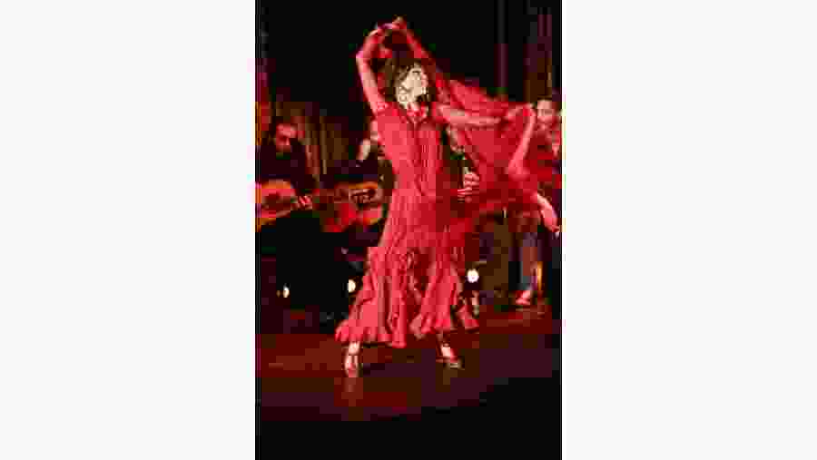 Flamenco Dance Show