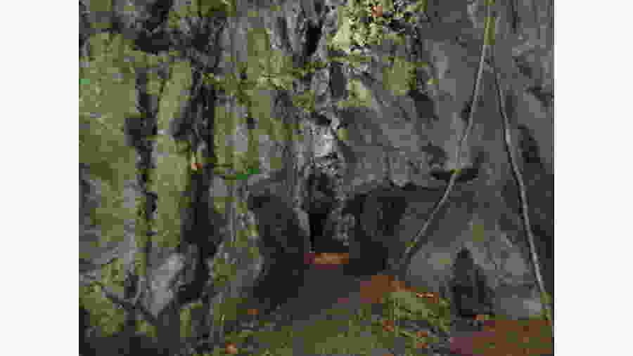 See the Ugong Cave