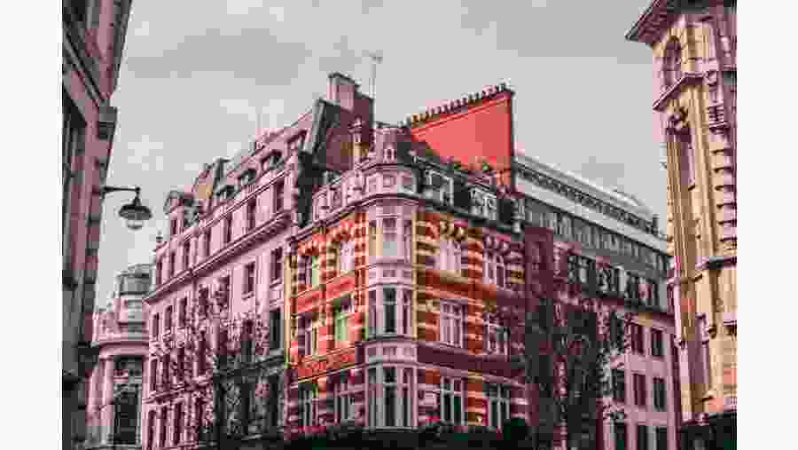 Enjoy sightseeing in London