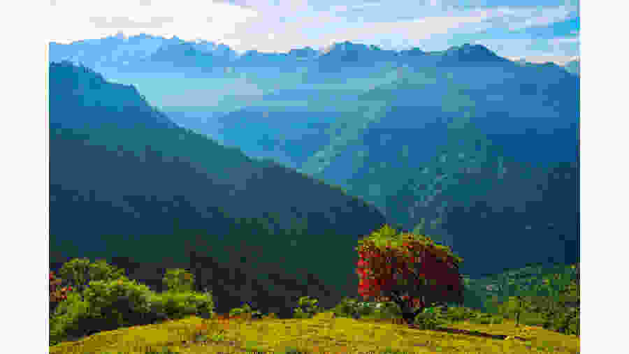 Rangthar Trek