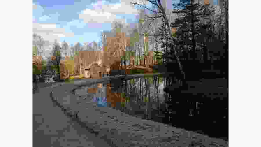 One of the ponds in Mikhailovskoye Estate