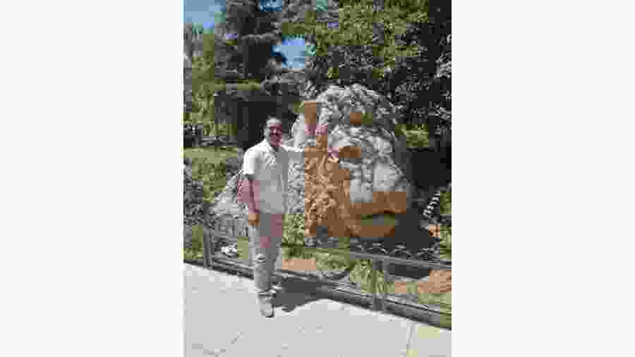 The Lion- Symbol of Ifrane city