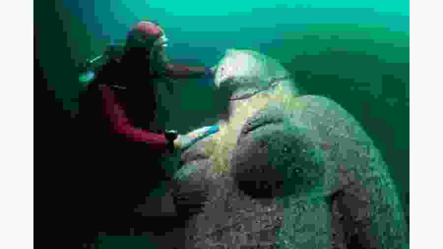 Underwater City Of Heracleion