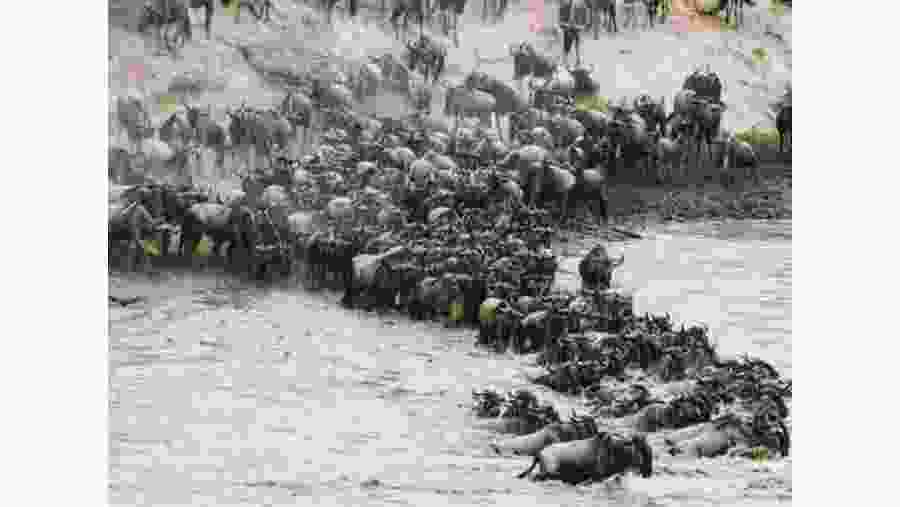 Great Migration
