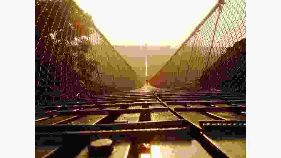 The suspension bridge