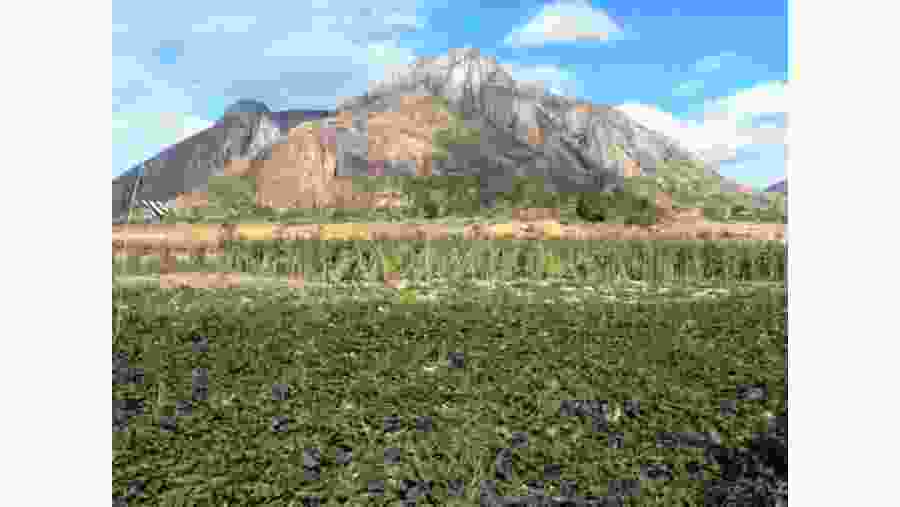 The beautiful landscape