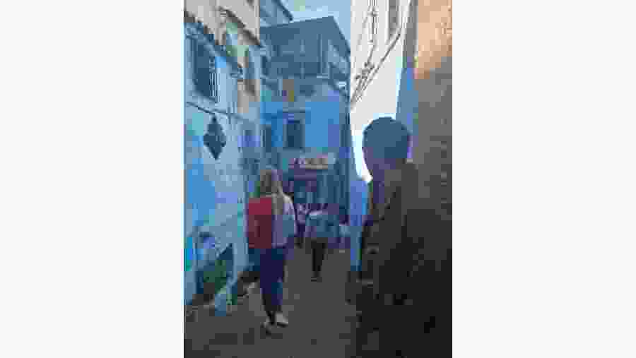 The blue color everywhere