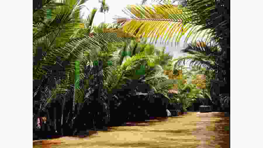 View from the boat ride