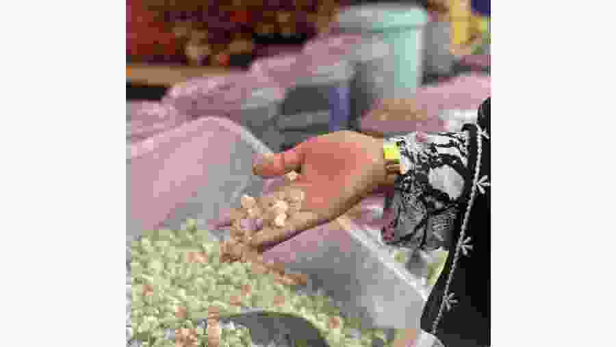 Salalah Central Market