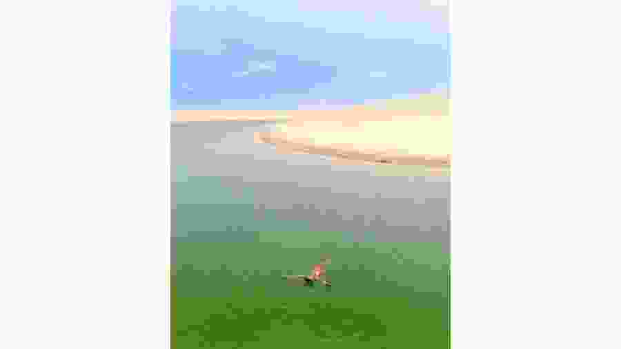 Circuito Lagoa Bonita