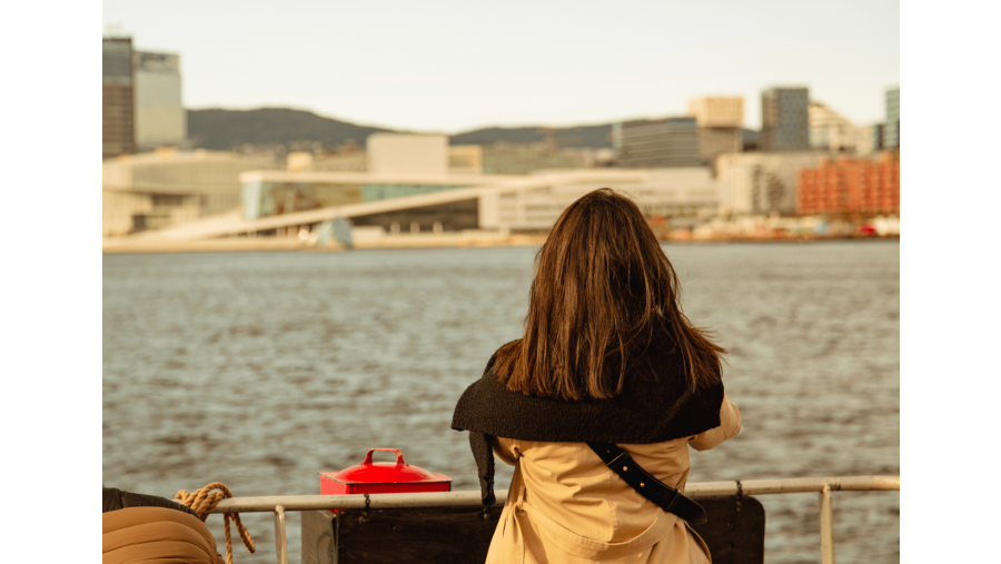Travelers in Oslofjord