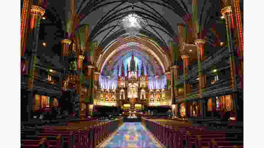 Montreal Cathedral