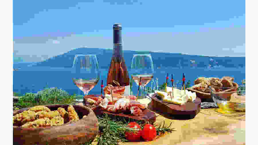 Wine Tasting in Montenegro