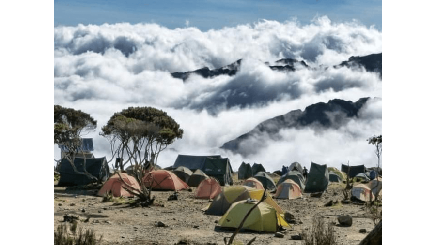 Camping Adventure