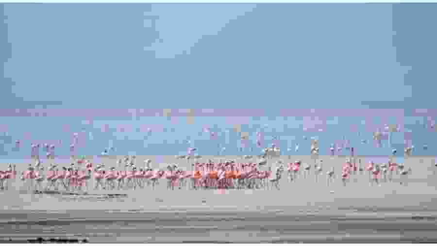 Lake Manyara National Park