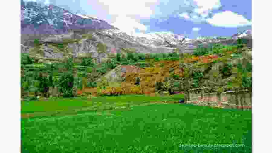 Nature views