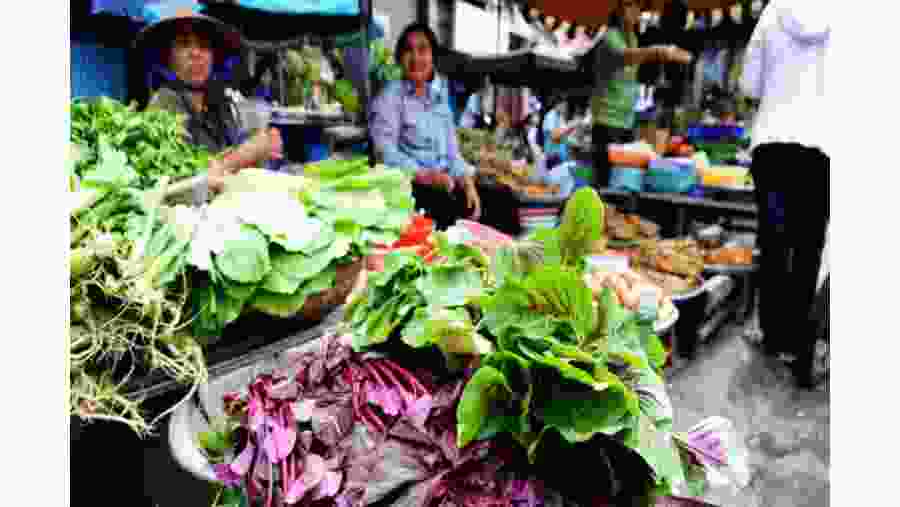 Shop at the Vegetable Market