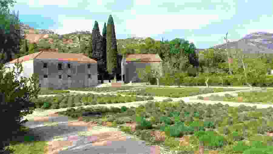 Local buildings in Dubrovnik