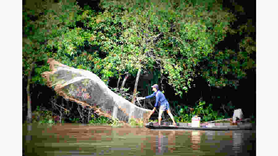 Witness fishing in the Mekong Delta in Vietnam