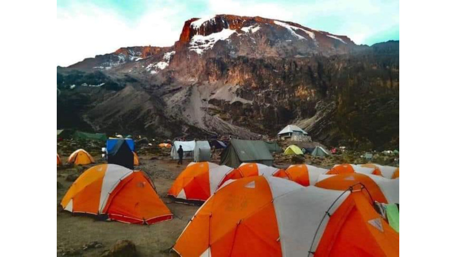 Camping Adventure