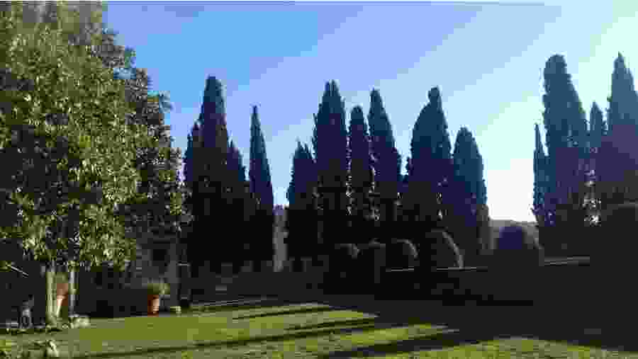 Italian Garden in Chianti