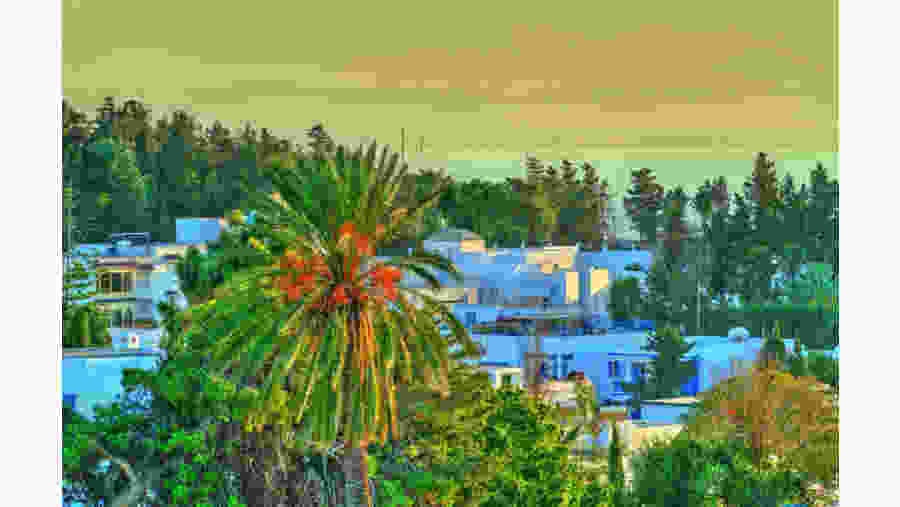 Scenic view