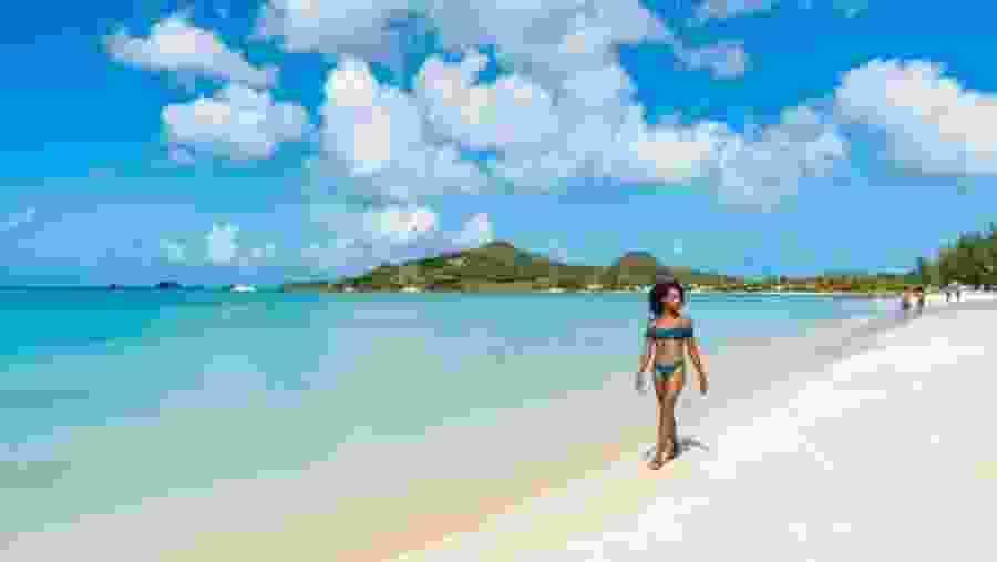 Beautiful Darkwood Beach