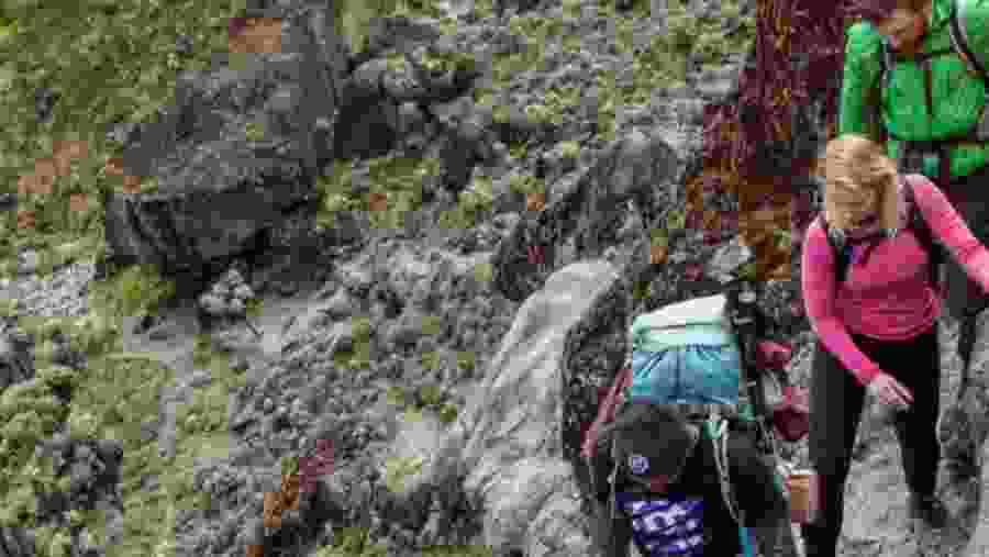Trekking
