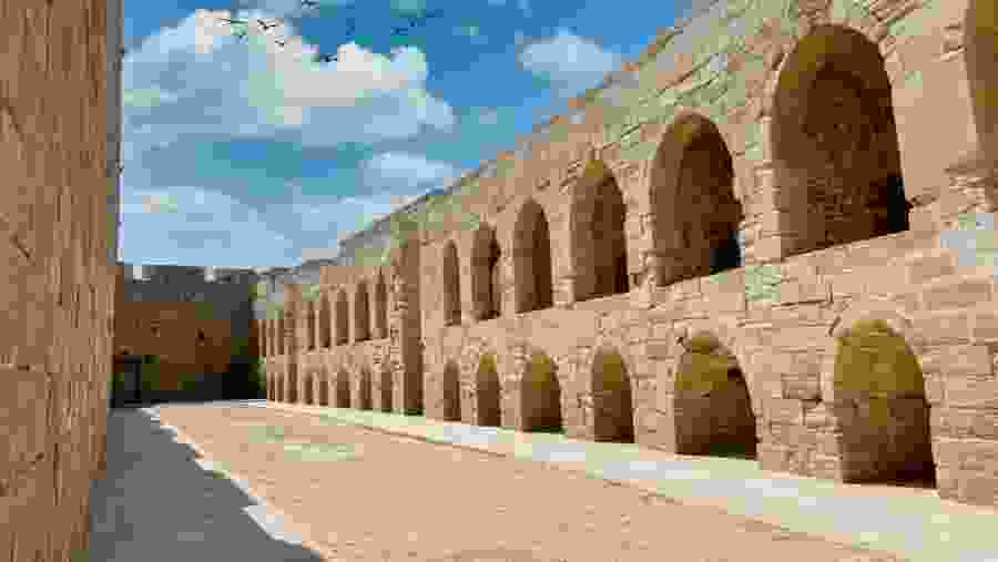 Visit the highlights of Alexandria