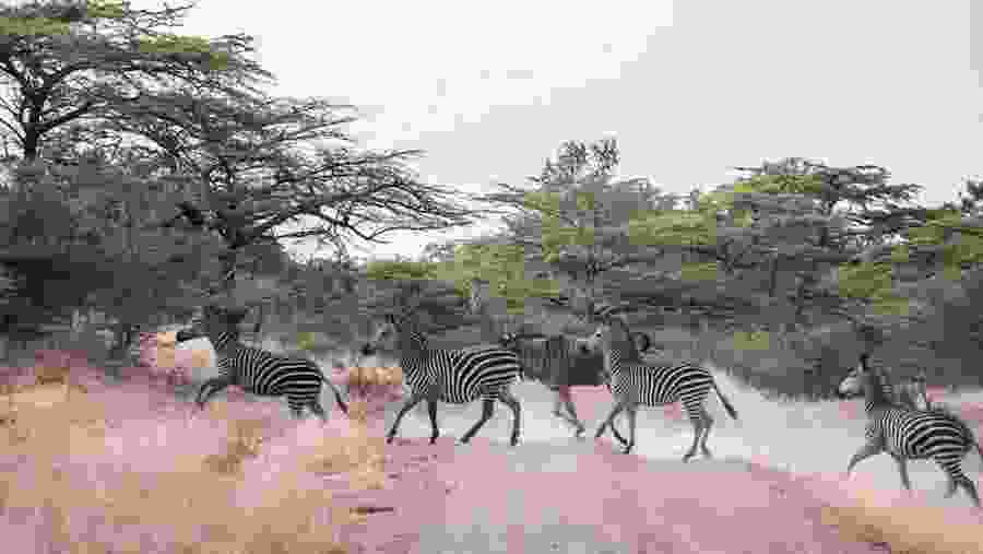 National Park