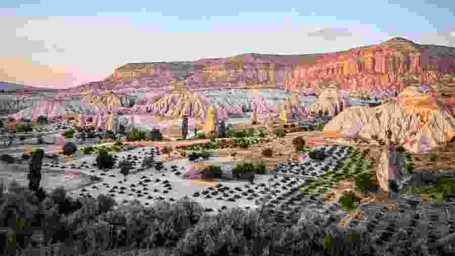Rose Valley Cappadocia