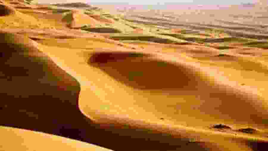 Drive over enchanting sand dunes
