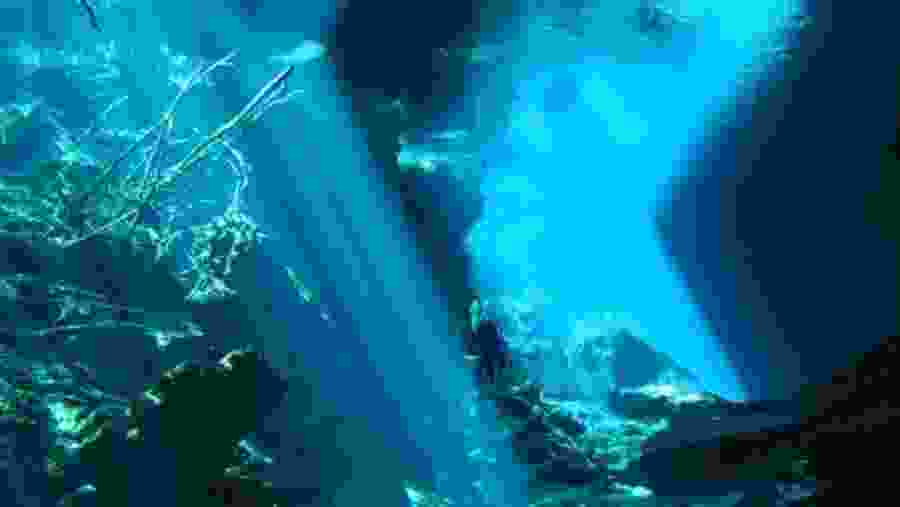 Diving in Cenotes, Playa Del Carmen