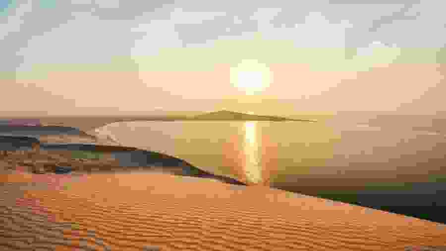 Nighttime Desert Safari