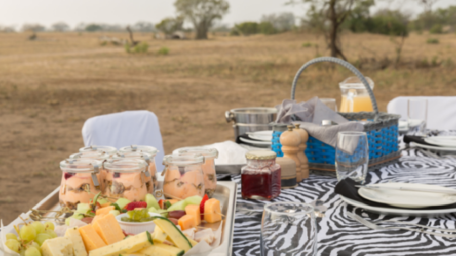 Safari Meal