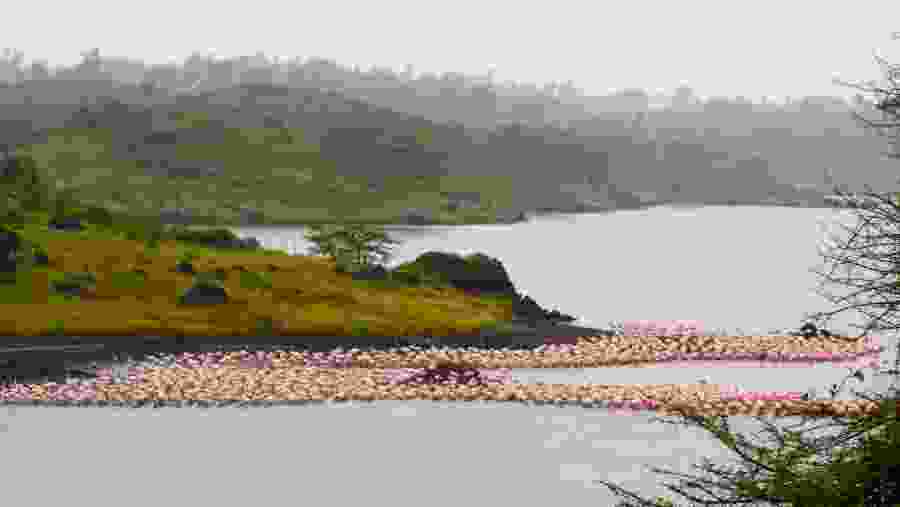 Tanzania Safari Adventure