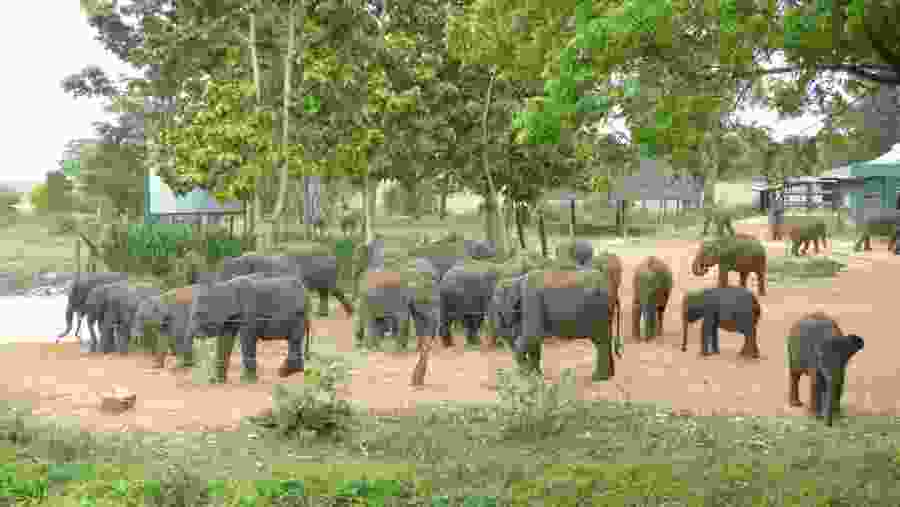 Elephant Transit Home at Udawalawe
