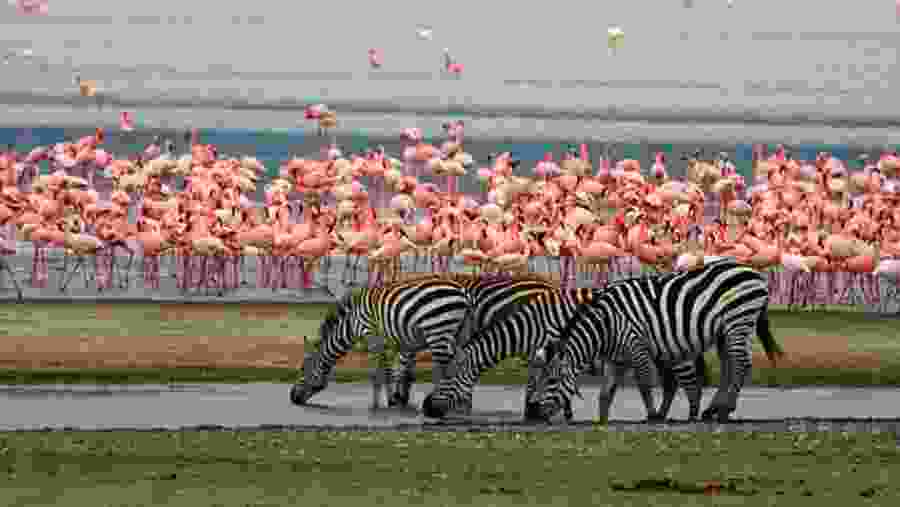 Lake Manyara National Park