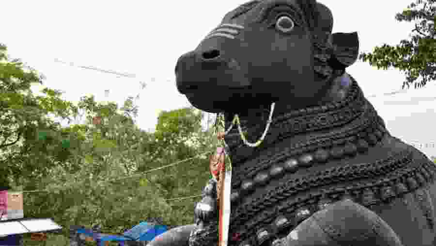 Nandi Temple