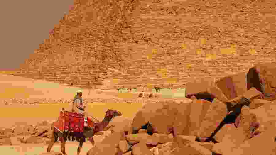 Giza Camel Ride